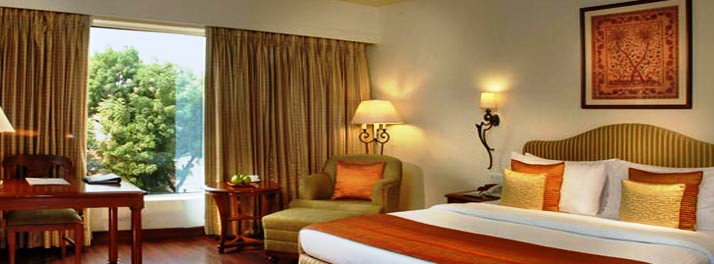 60/Park Plaza - Jodhpur 009.jpg
